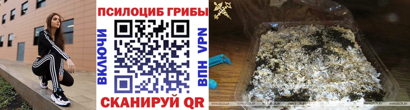Купить  Ивдель  Галлюциногенные грибы ЛСД 